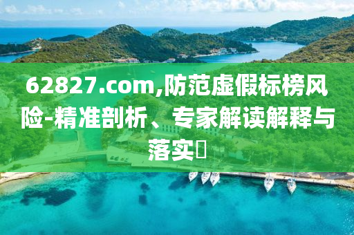 62827.com,防范虚假标榜风险-精准剖析、专家解读解释与落实​